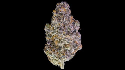 Key Lime Jack - 3.5g - Maven Genetics - 3.5g - Sativa - $46 - Flower/Infused Flower (3.5 Grams)