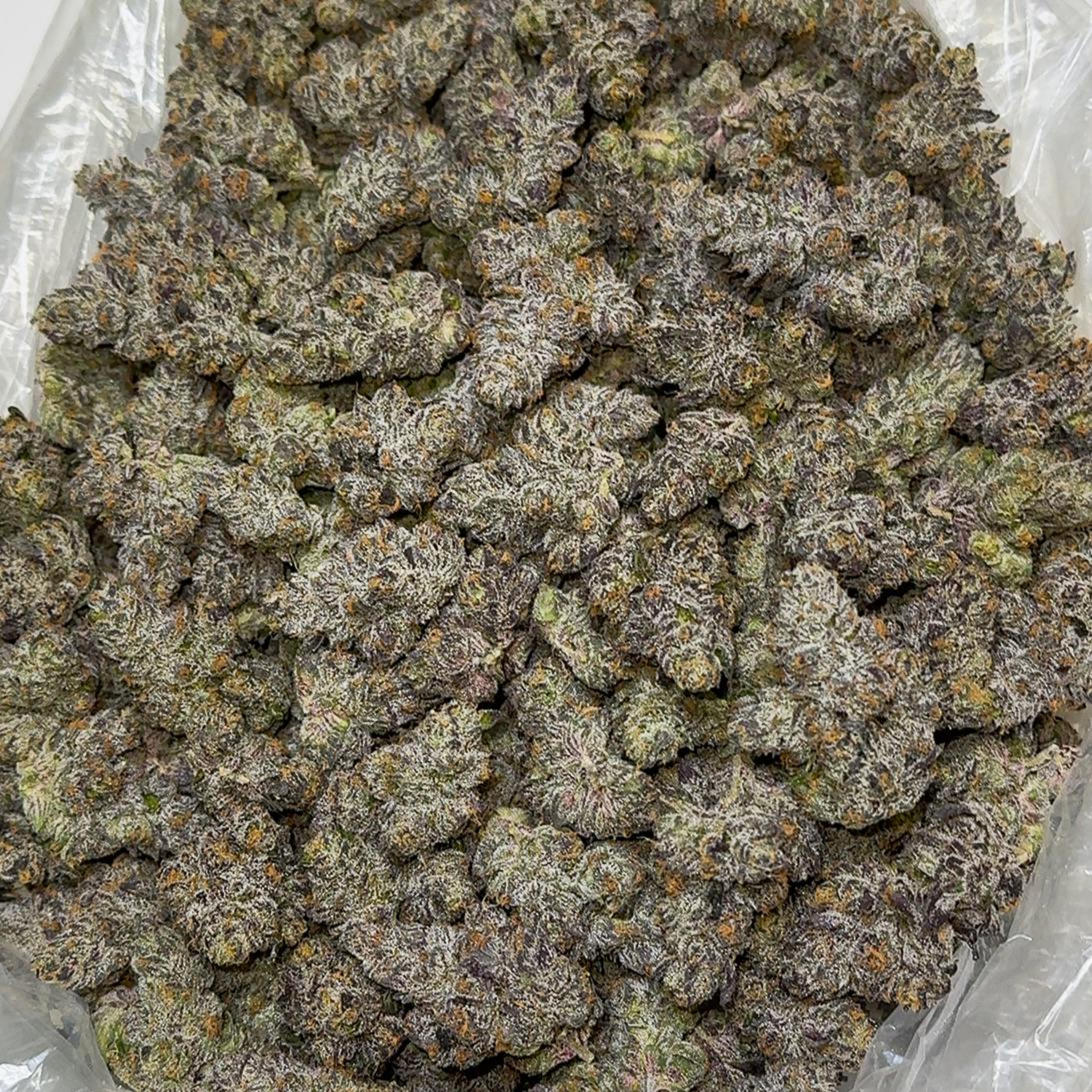 Cherry Martinelli 3.5G - FIG FARMS - - $38.75 - Flowers