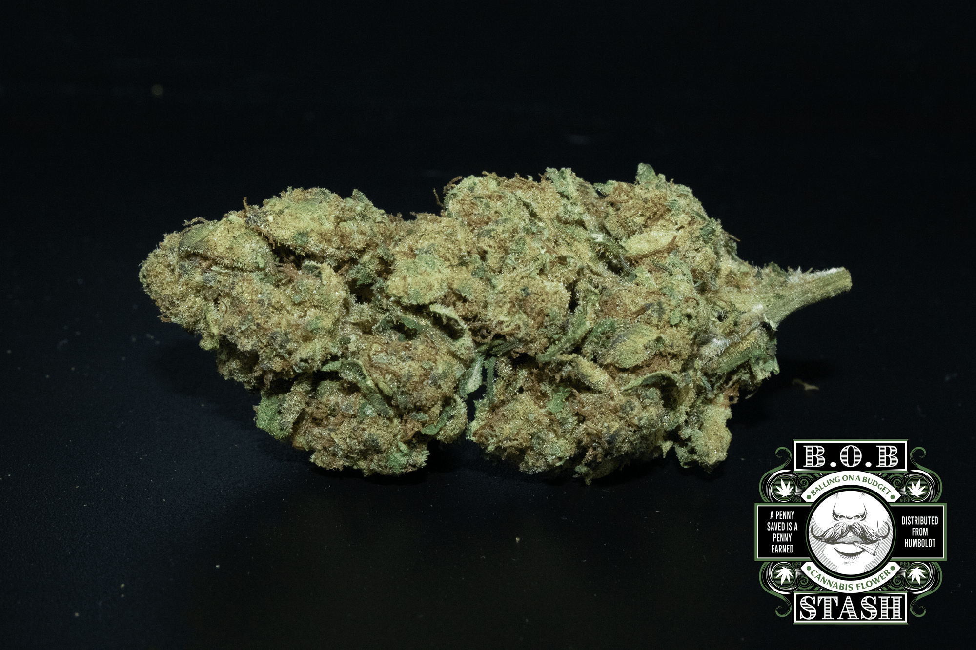 Runtz 1/2 ounce (14g) - BOB STASH -  - $24.99 - Flowers