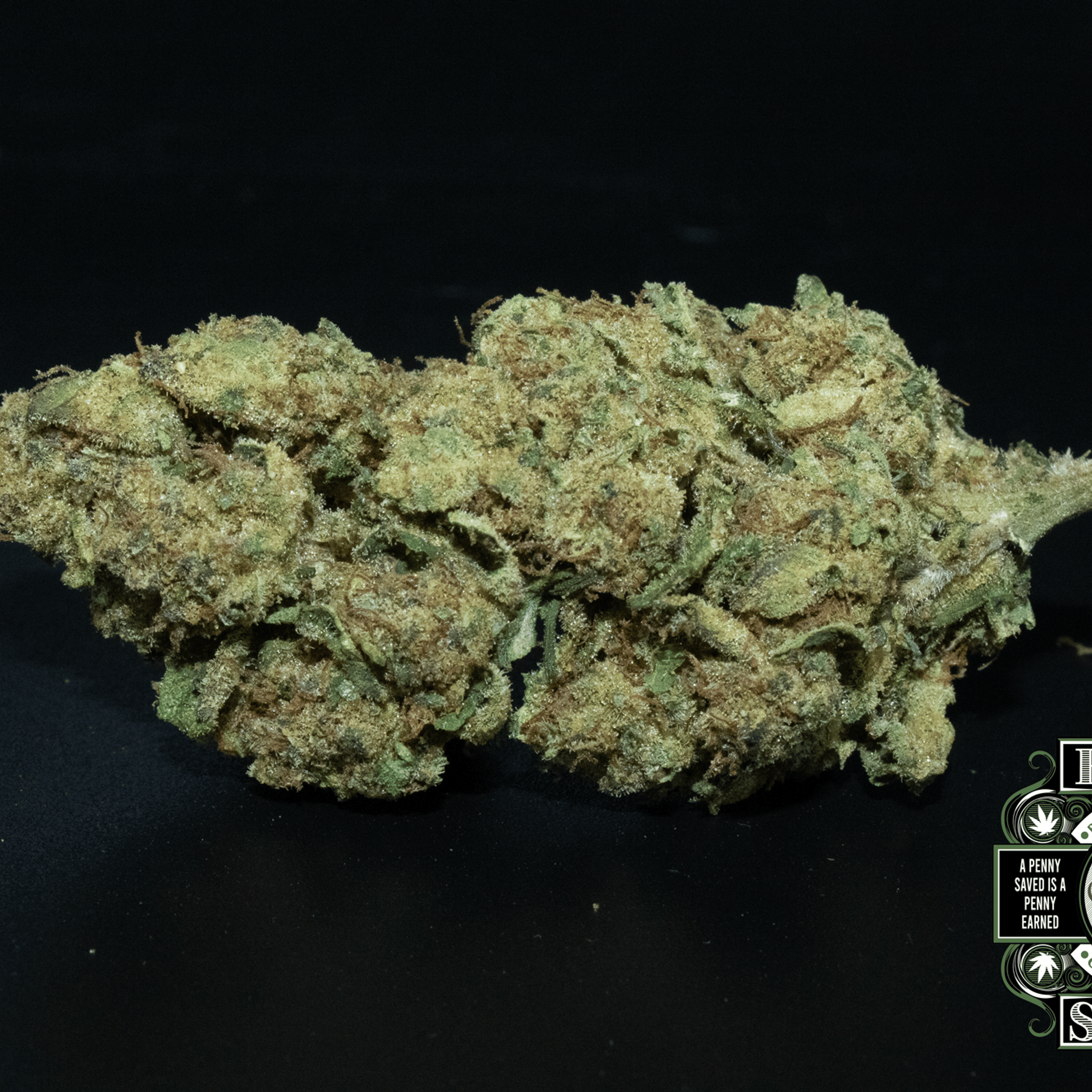 Runtz 1/2 ounce (14g) - BOB STASH - - $24.99 - Flowers