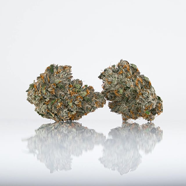 GMOchi | 14g