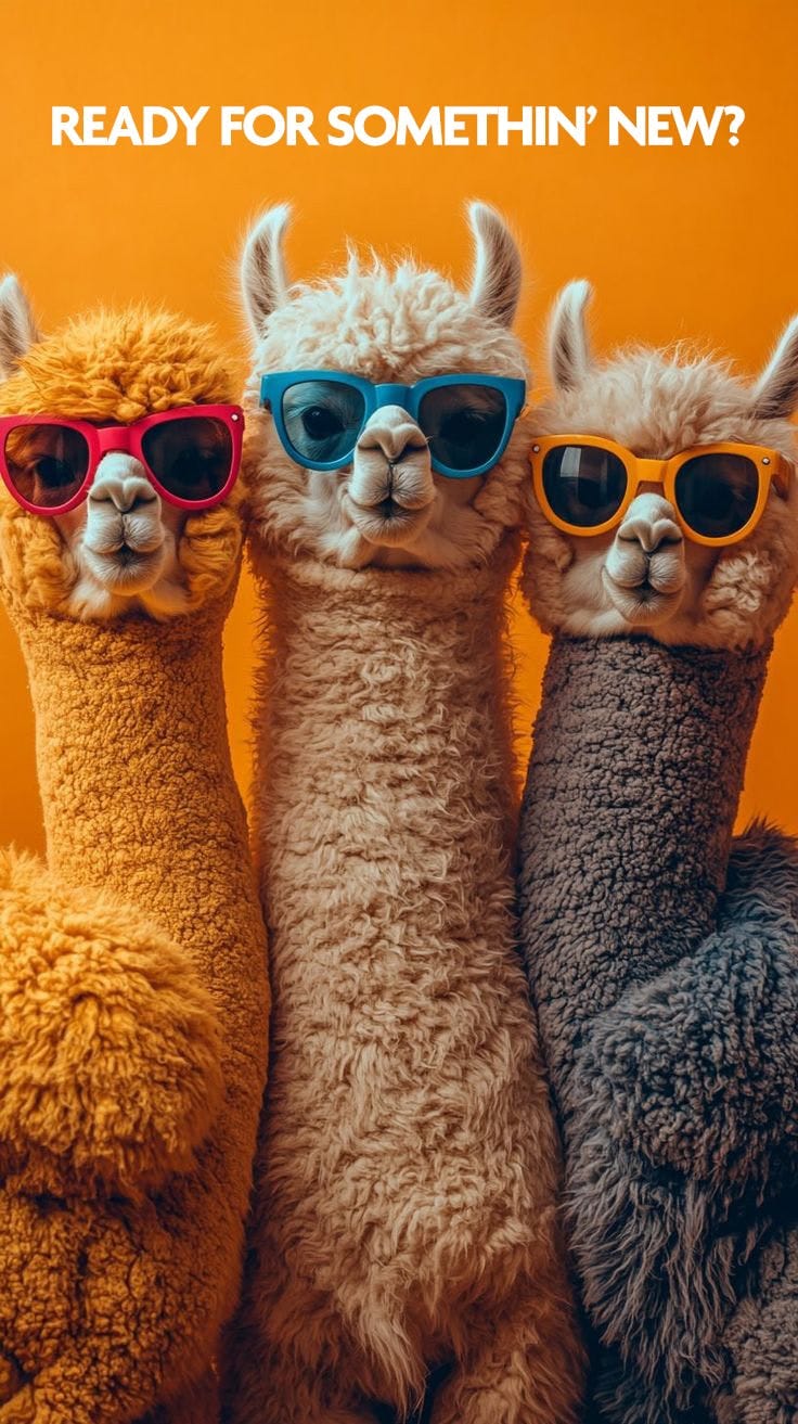 Kiwi Watermelon - Disposable - Happy Place - 2 Gram - $19.99 - Disposable Vape (All-In-One, Battery Built-In)