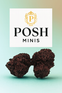 Strawberry purple  petro 3.5g (indoor minis) - Posh Green -  - $16 - Flowers
