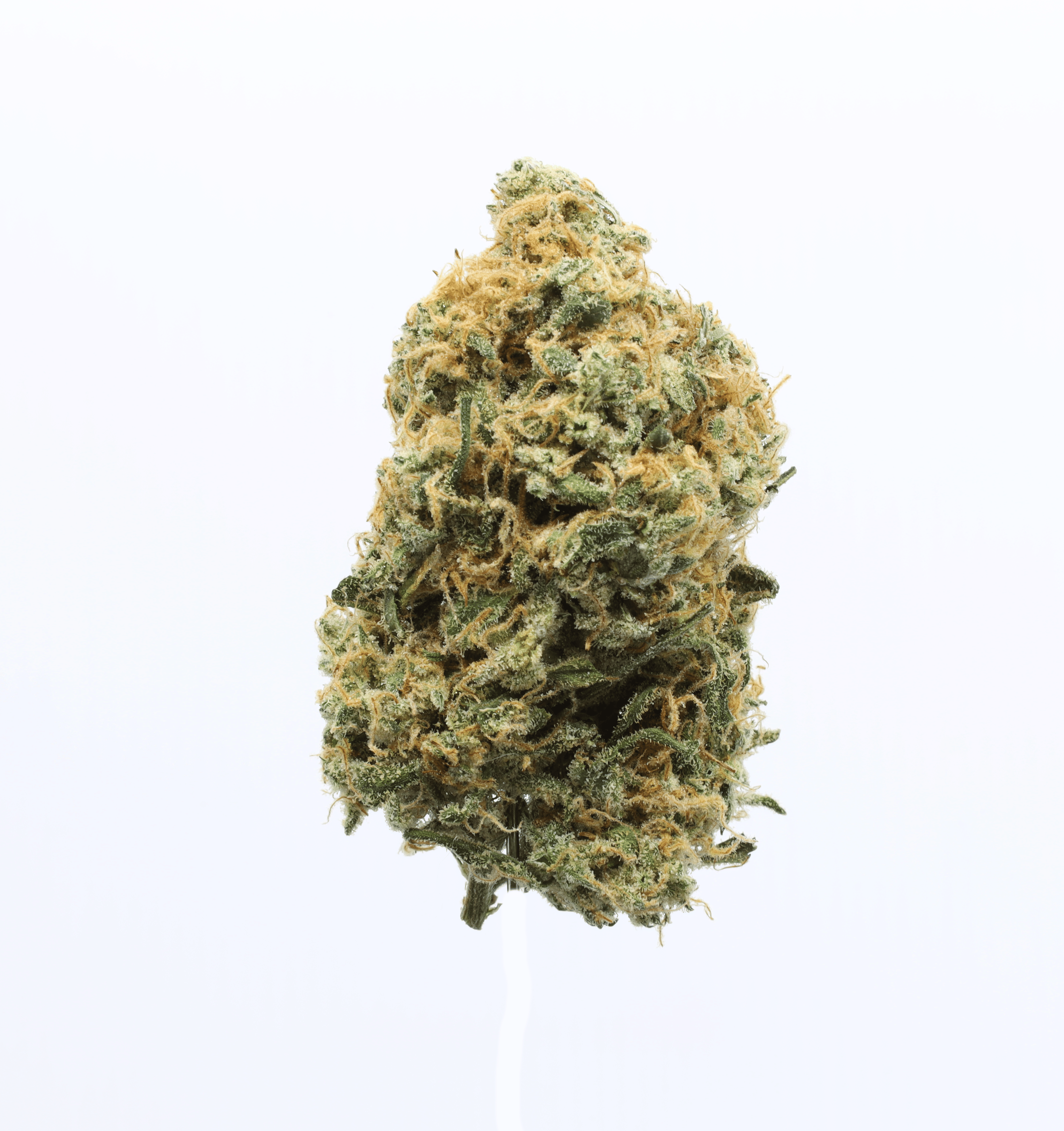 UpNorth — Red Congolese (Congolese x Mexican x Afghani) 3.5g indoor