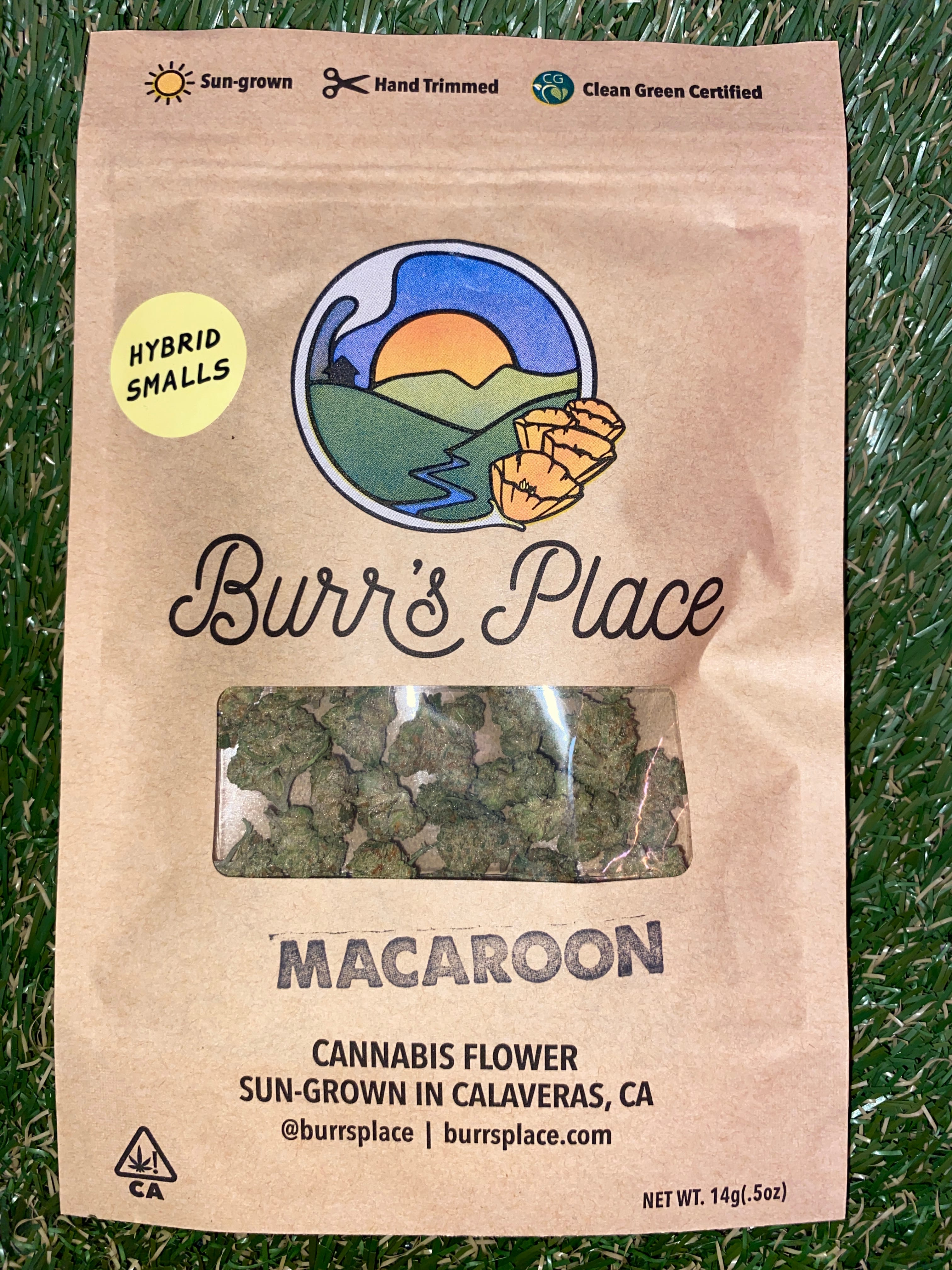 MACAROON 14G SMALLS - BURR'S PLACE -  - $30.10 - Flower