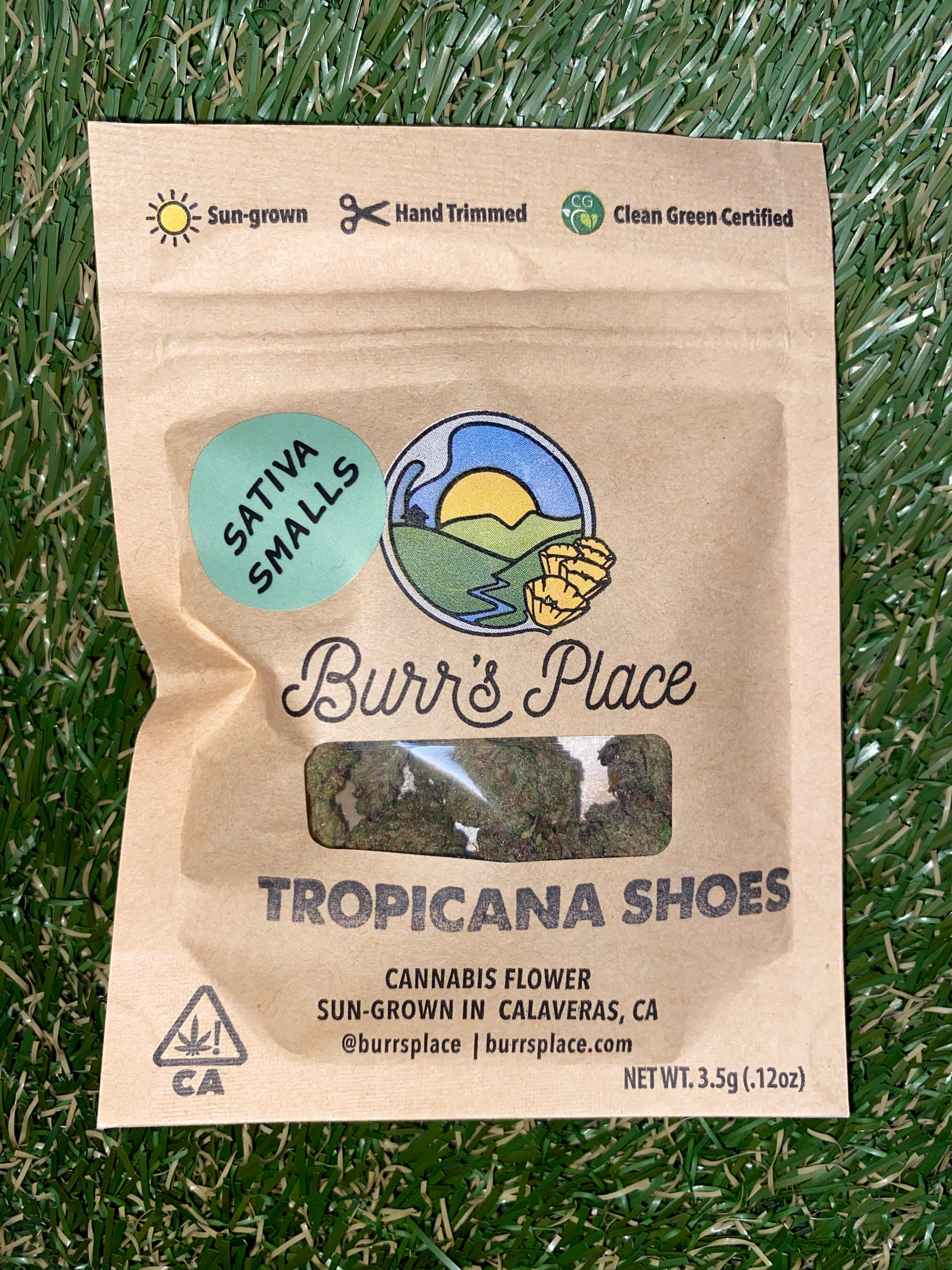 TROPICANA SHOES 3.5G SMALLS - BURR'S PLACE -  - $8.60 - Flower