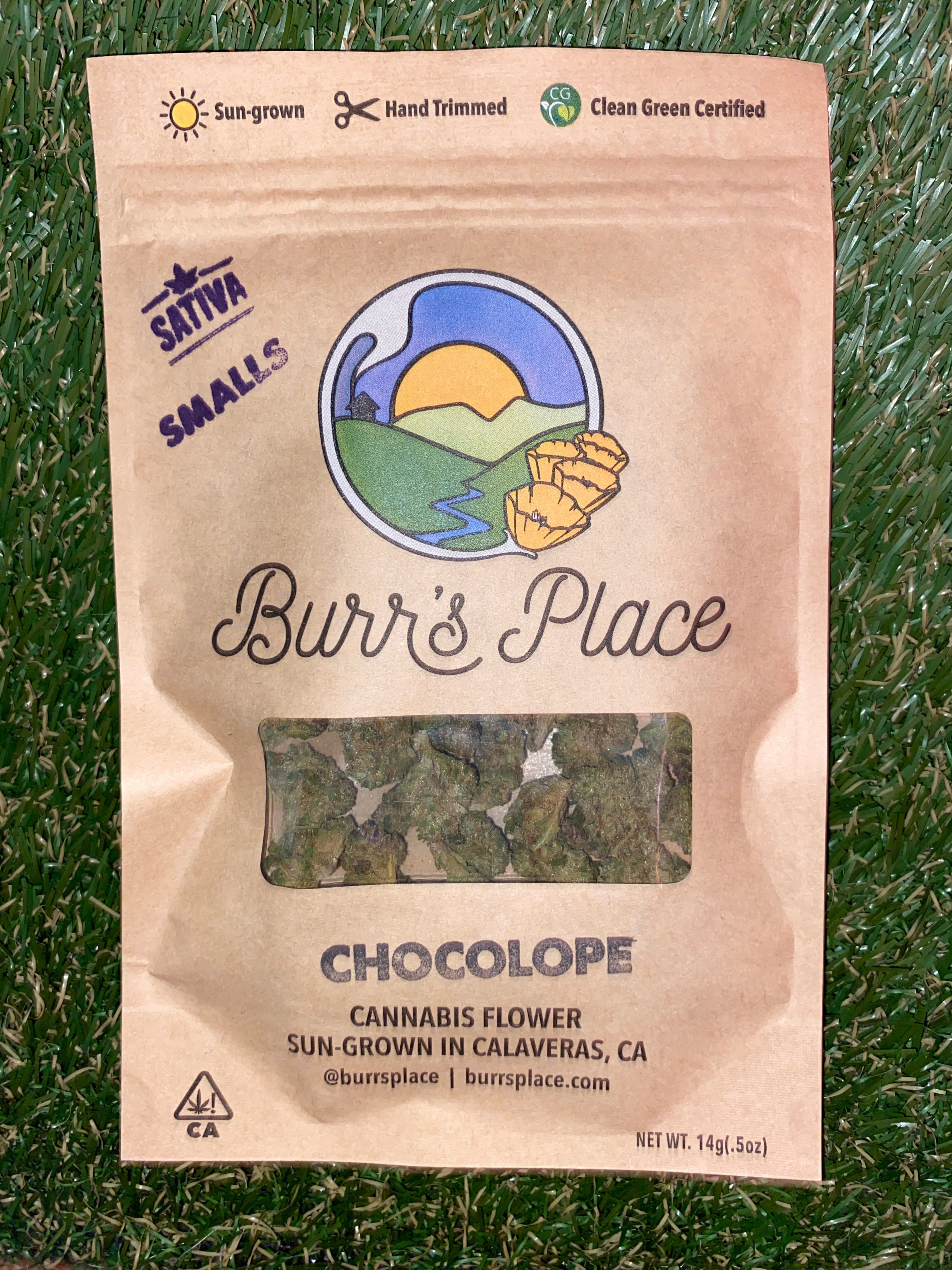 CHOCOLOPE 14G SMALLS - BURR'S PLACE -  - $30.10 - Flower