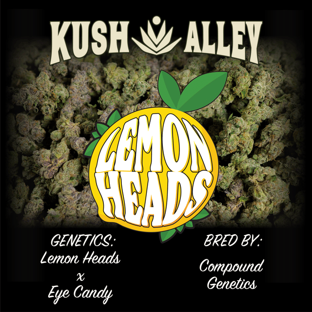 Kush Alley Premium — Lemon Heads - Gram