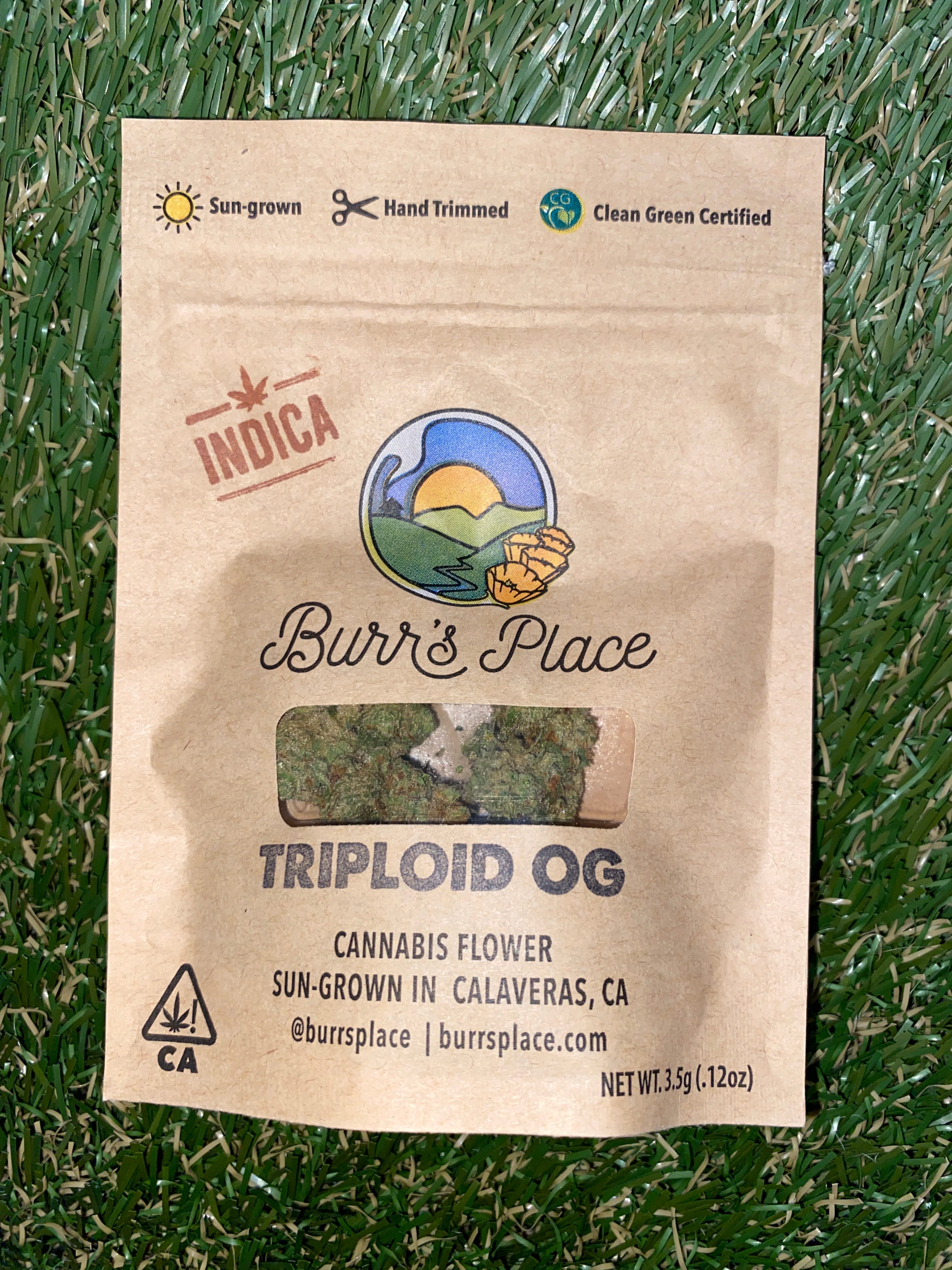 TRIPLOID OG 3.5G - BURR'S PLACE -  - $10.75 - Flower