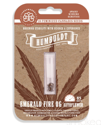 Emerald Fire Og Feminized Seeds (10Pk) - Humboldt Seed Company -  - $90 - Plant