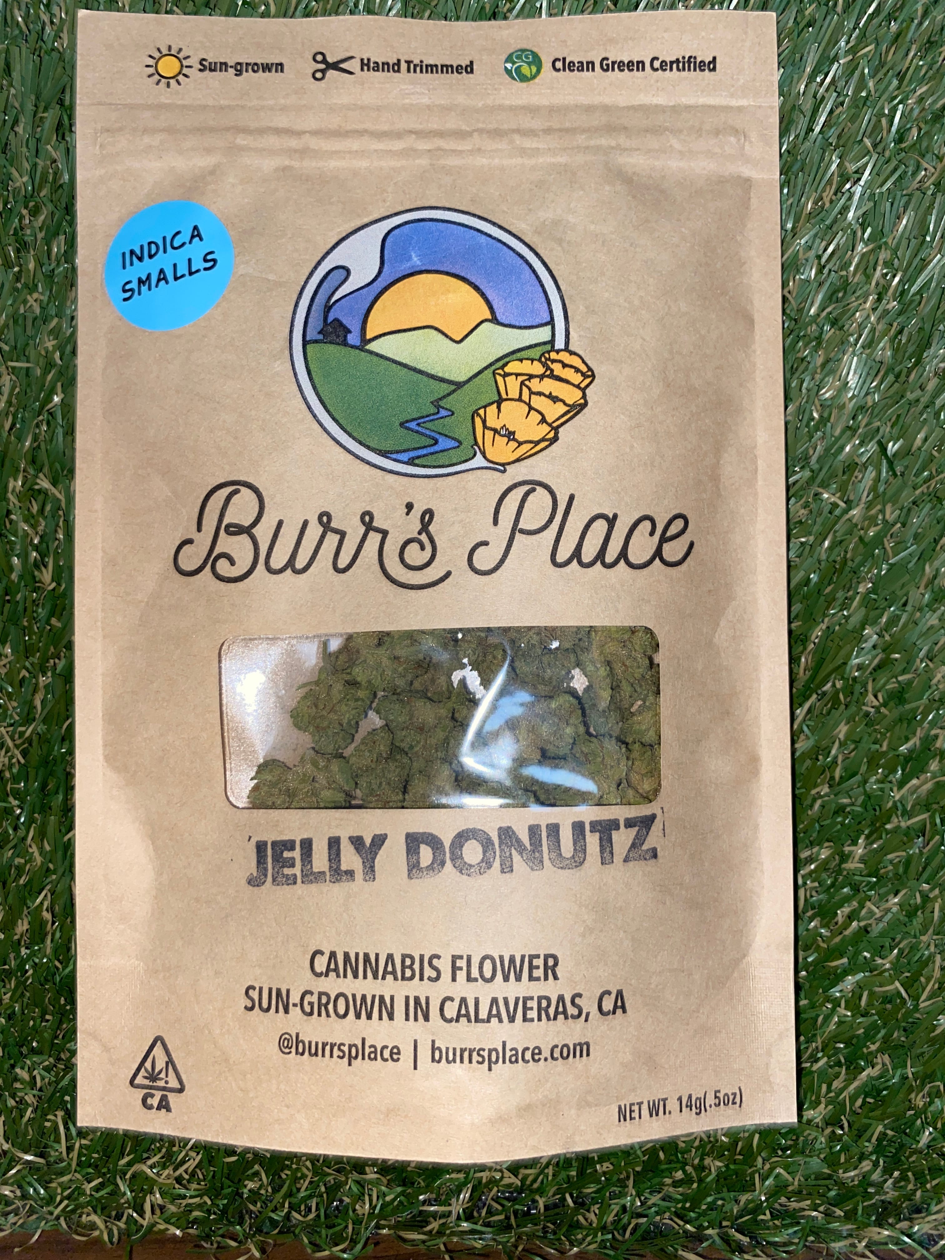 JELLY DONUTZ 14G SMALLS - BURR'S PLACE -  - $30.10 - Flower