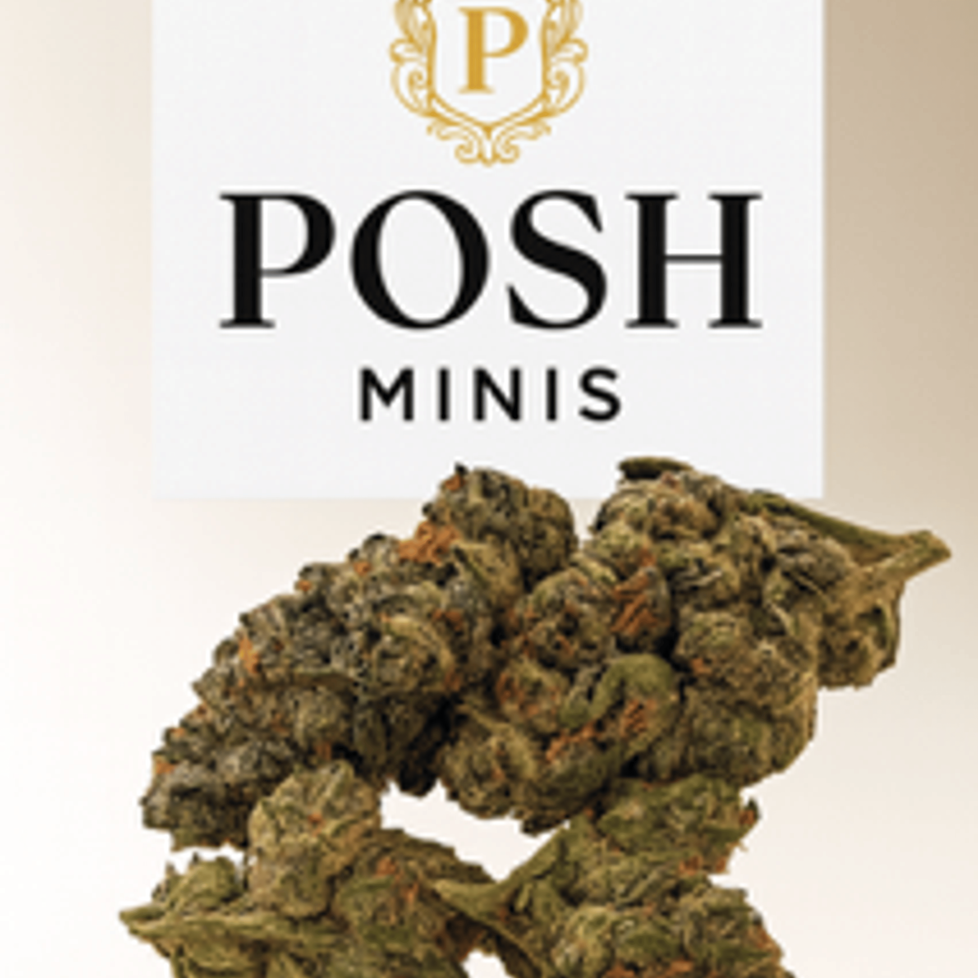 Canal st Runtx 3.5g (indoor smalls) - Posh Green - - $16 - Flowers