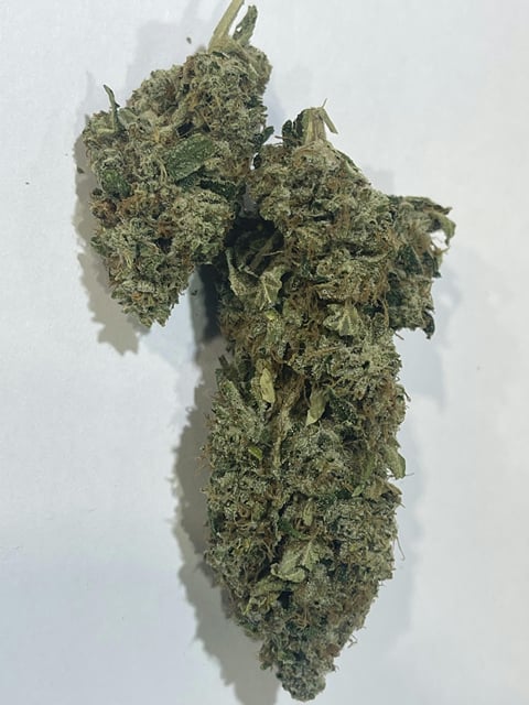 SFV OG (SAN FERNANDO VALLEY OG) - 1g Flower Premium Light Assisted