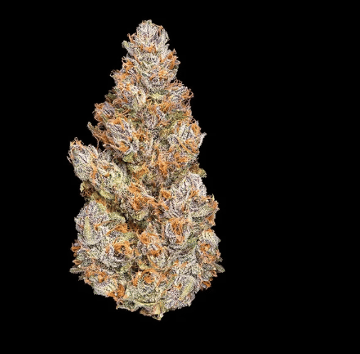 BluZangria - Maven Genetics - Eighth - $36 - Flower