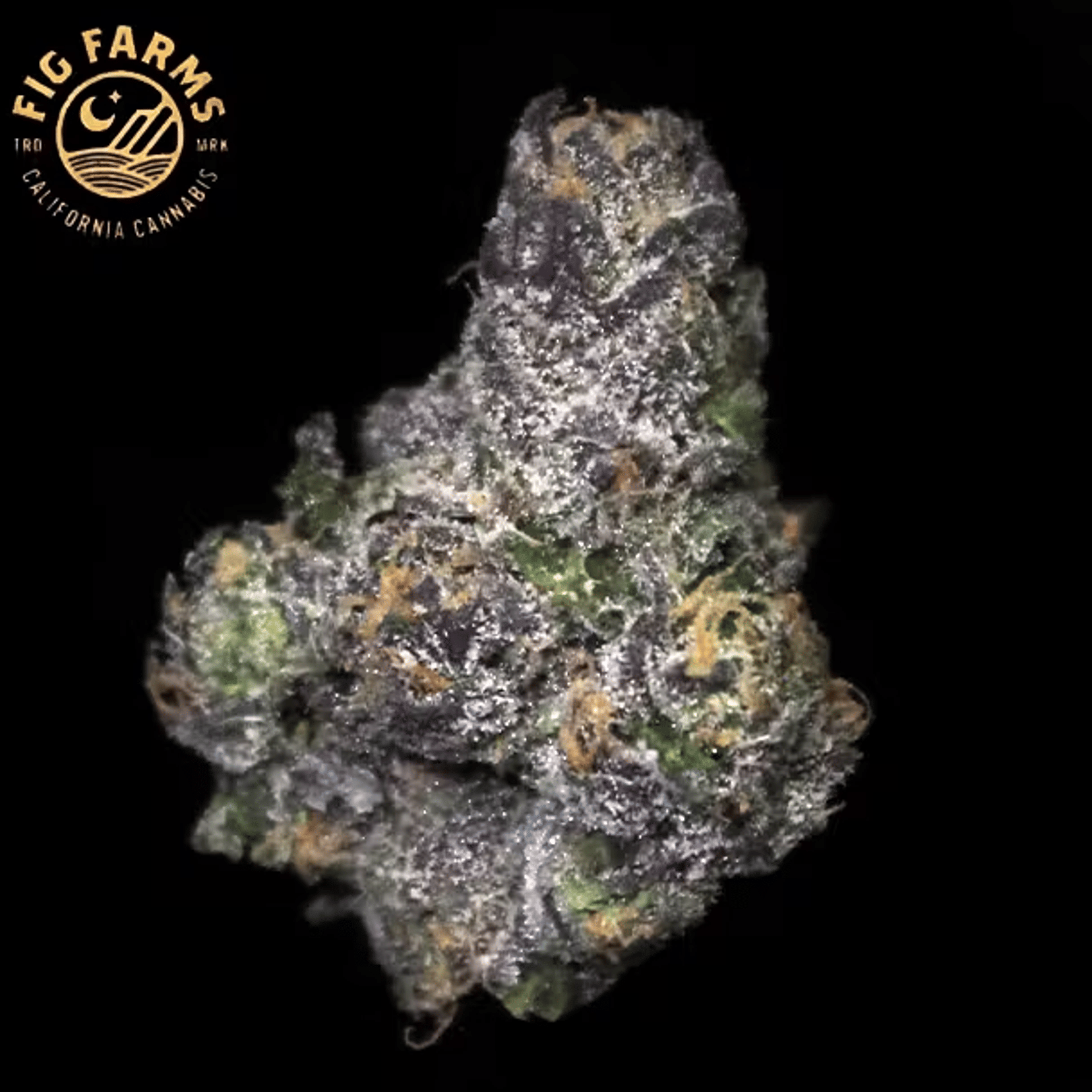 Fig Farms – Cherry Martinelli – 3.5g - Fig Farms - 8th - $42.99 - Indoor Flowers