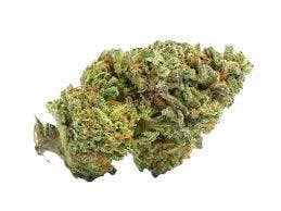 Zkittlez (Great Ape X Grapefruit) - 14g Flower Premium Light Assisted