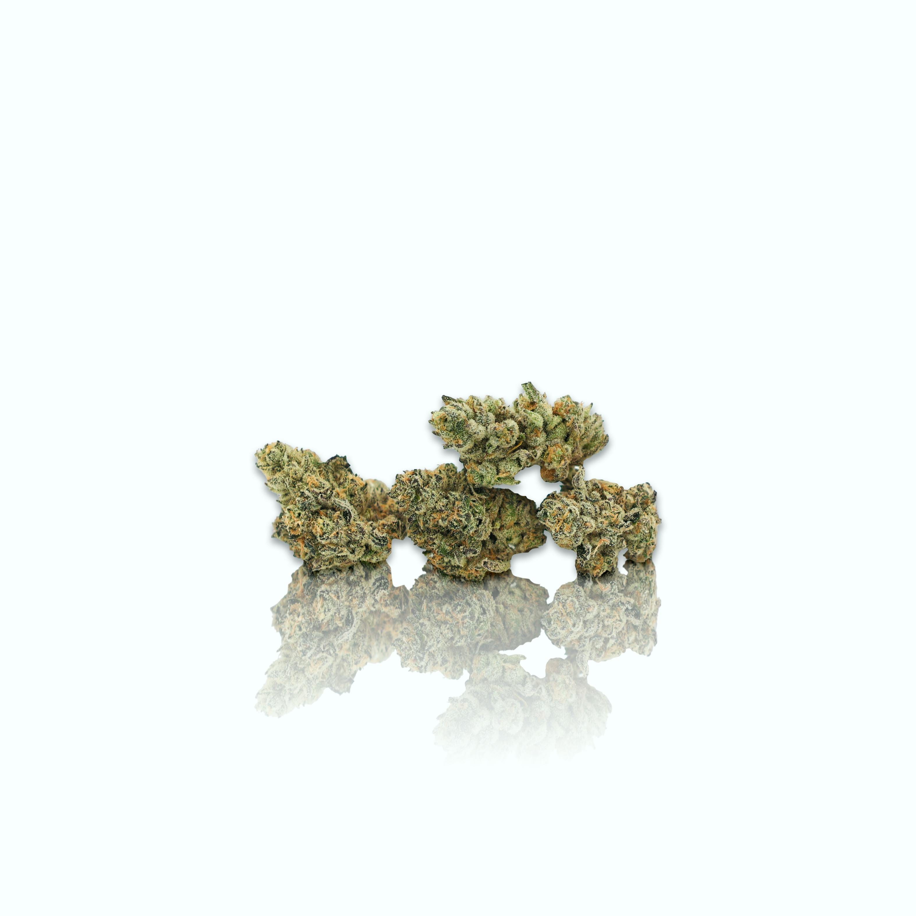 Bubba's Girl (3.5g) - CAM -  - $39.75 - Flowers