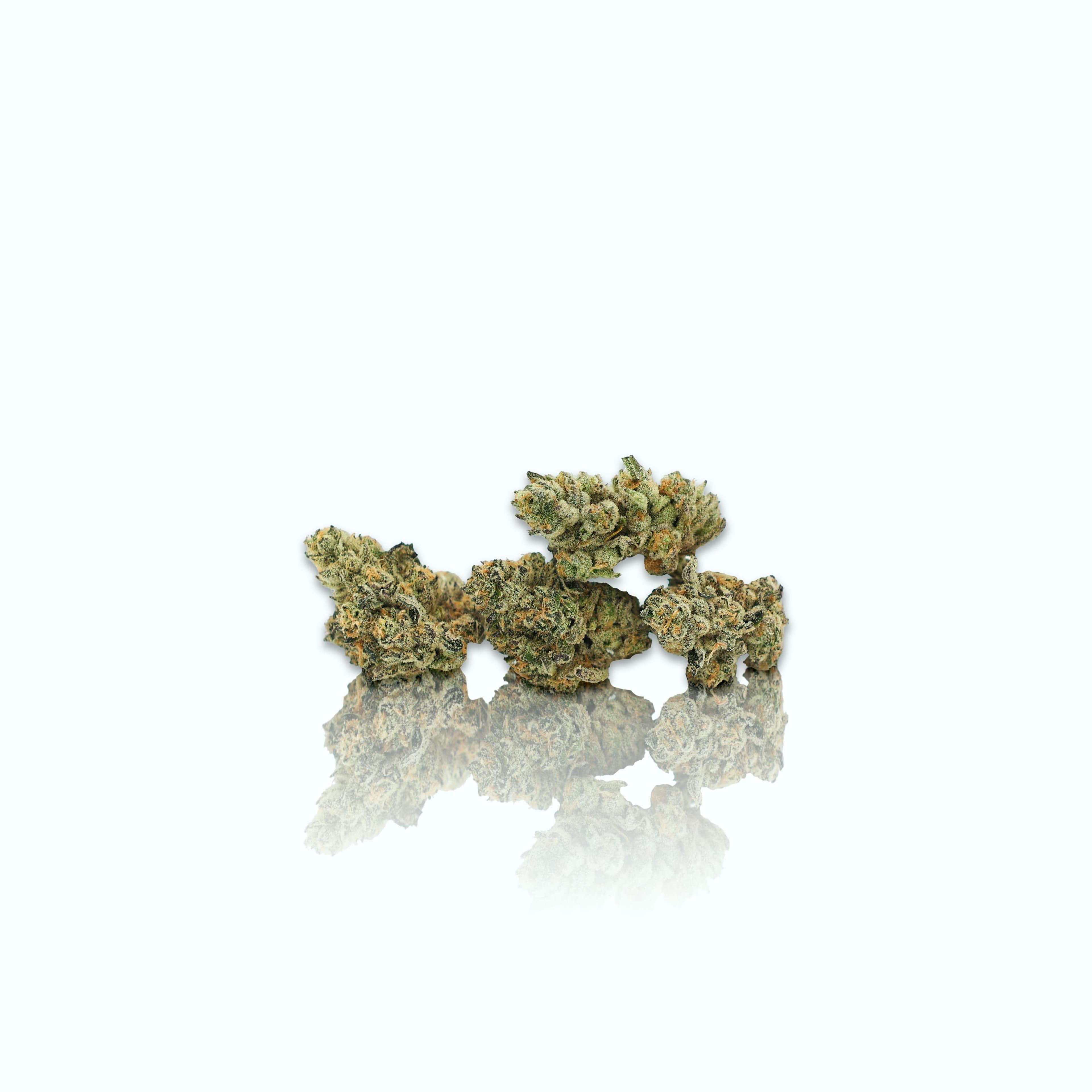 Bubba's Girl (3.5g) - CAM - - $39.75 - Flowers