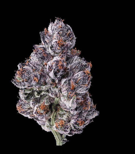 Chrome Dome - Maven Genetics - Eighth - $36 - Flower