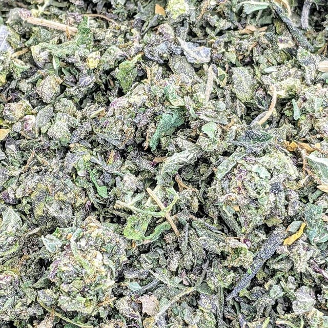 Original Intelligence Candy Land 14g Sugar Shake