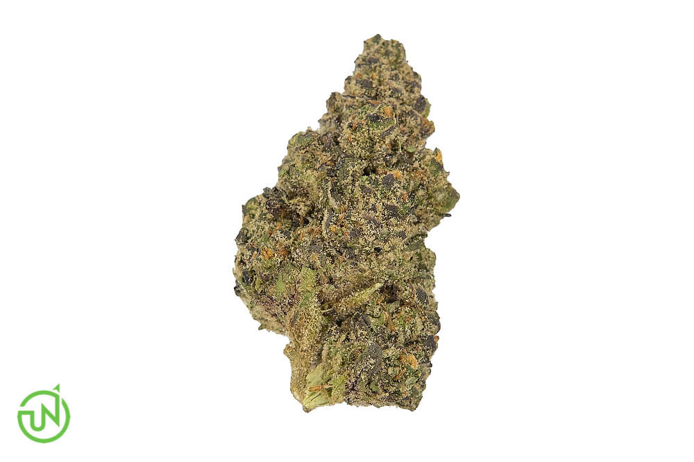 Purple Afghani (Purple Kush x Afghani Landrace) 3.5g indoor - UpNorth -  - $45 - Flowers