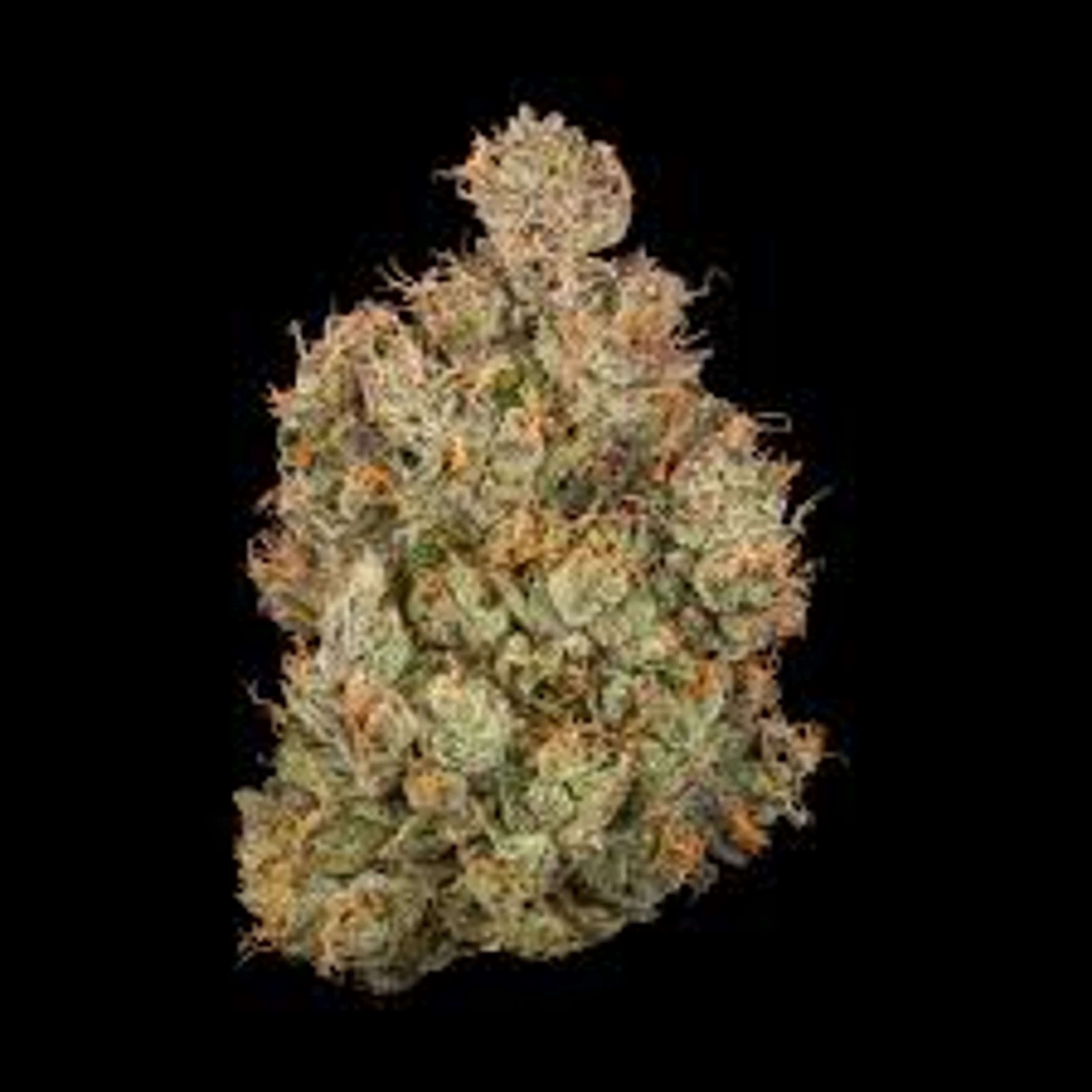 Chems & Cherry 3.5g (indoor) - Fig farms - - $45 - Flowers