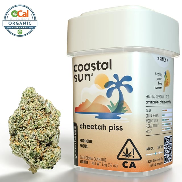 Cheetah Piss | 3.5g