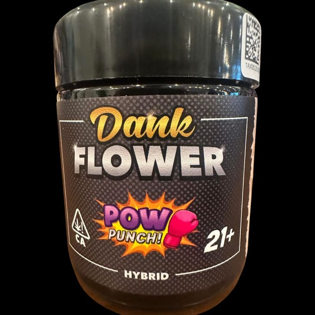 Legion Of Dank — Pow Punch