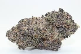 Original Intelligence Hash Burger 3.5g Premium Light Assisted