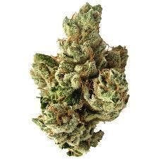 SFV OG 14g Baby Bugs Premium Light Assisted
