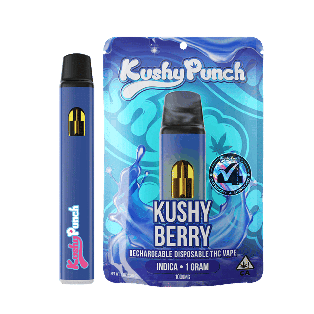 Kushy Berry | 1g AIO