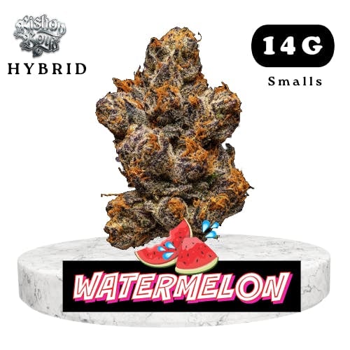 Bishop Boyz Watermelon Slushy 14g Smalls