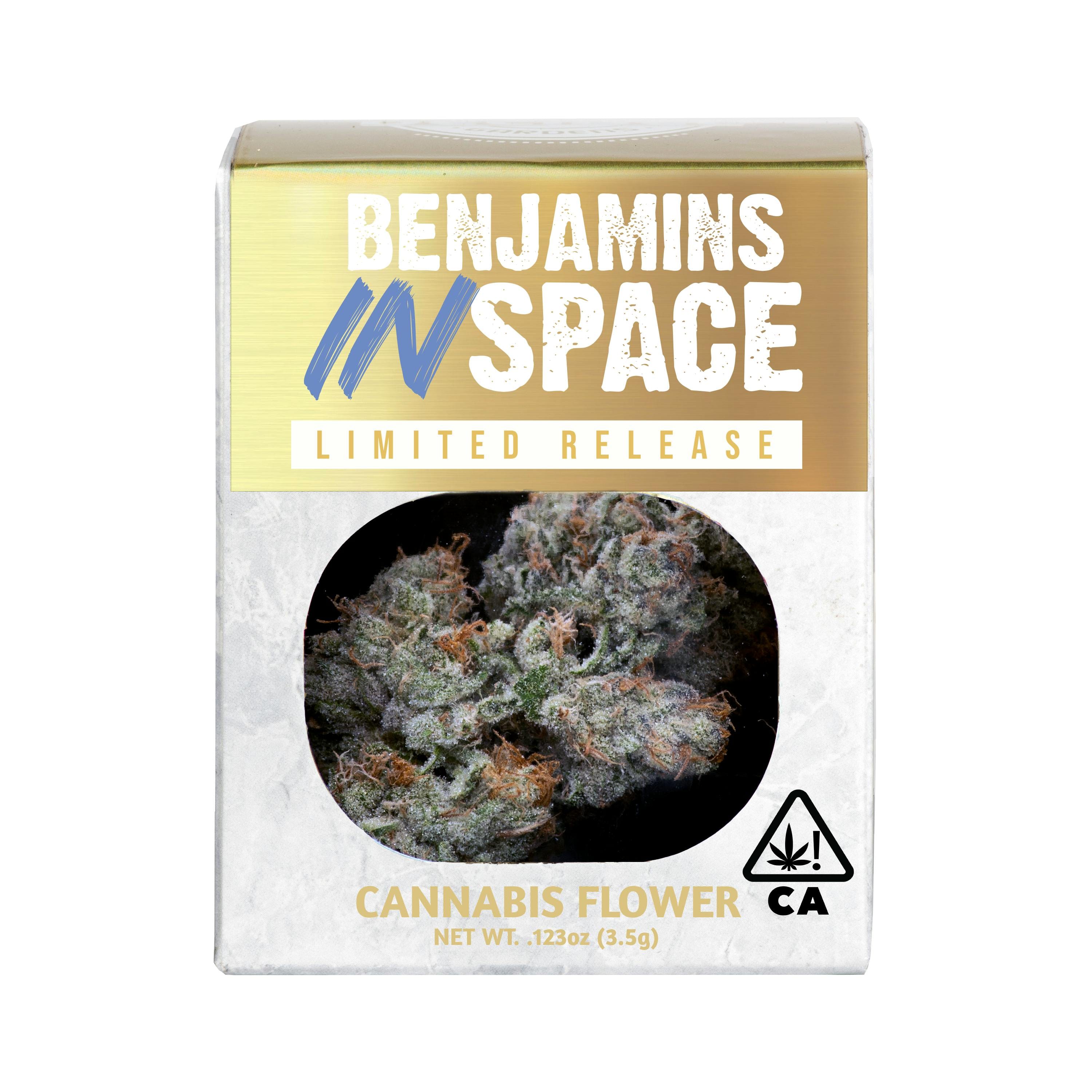 Decibel Gardens: Benjamins In Space