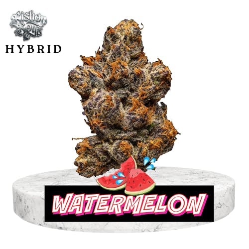 Bishop Boyz Watermelon Slushy 3.5g