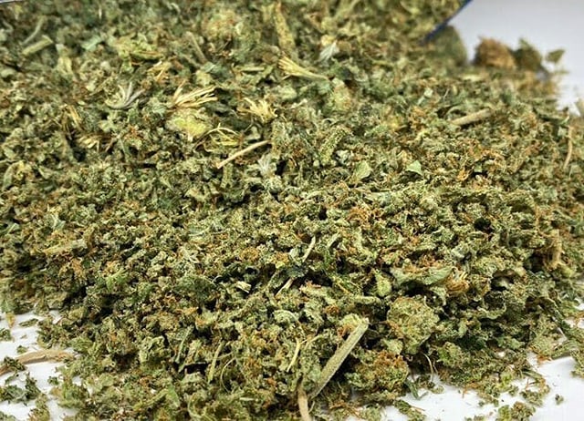Lemon Meringue (Lemon Skunk X Cookies & Cream) - 14g Sugar Shake