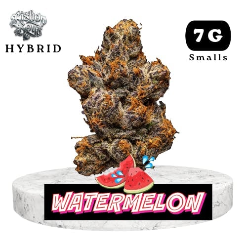 Bishop Boyz Watermelon Slushy 7g Smalls