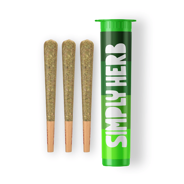 Banoreoz | 3 Pack