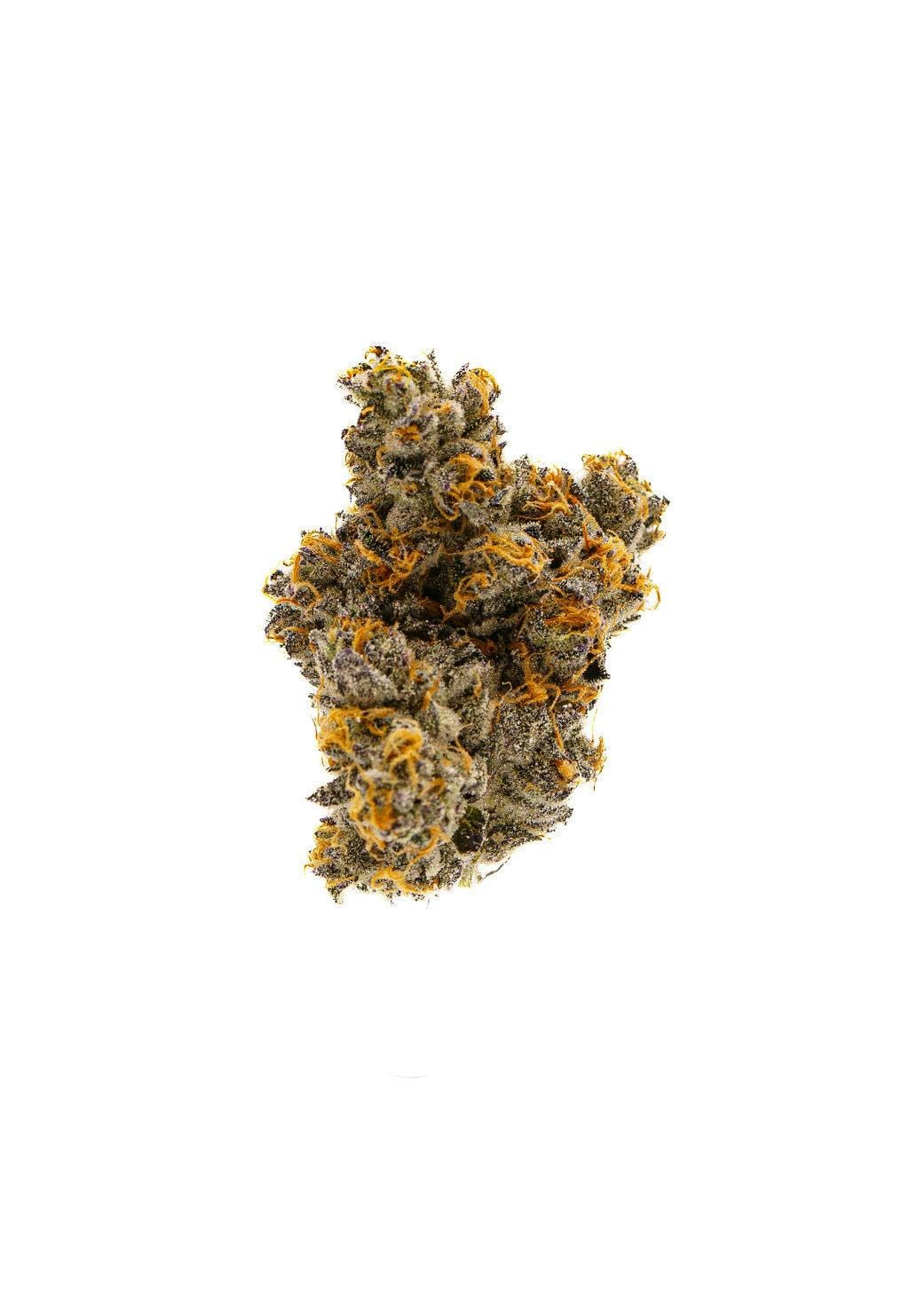 Gary Payton 25.69% - 3.5G *SPECIAL PRICING* - Lumpy's Flowers - Gary Payton (H) - $36 - Flower