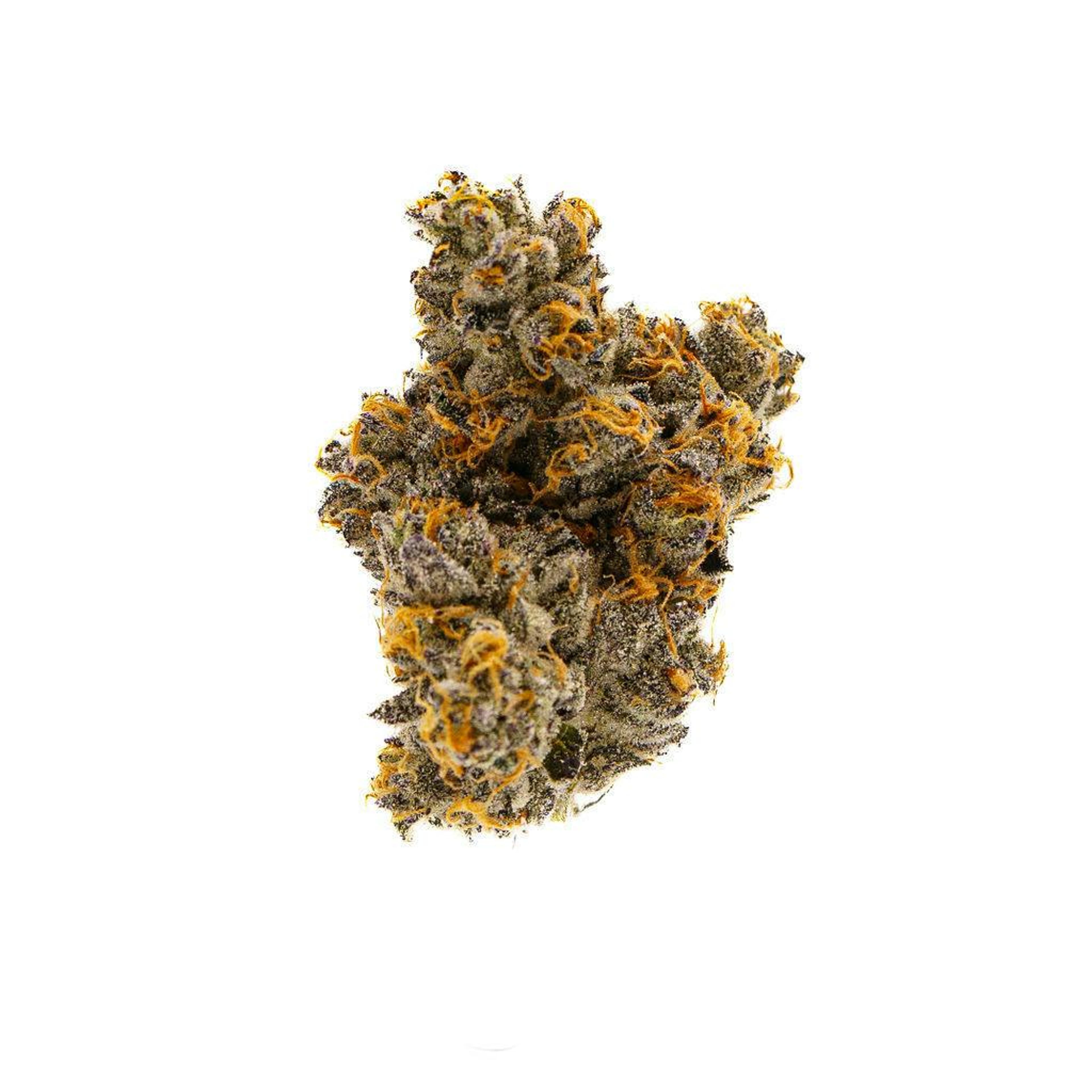 Gary Payton 25.69% - 3.5G *SPECIAL PRICING* - Lumpy's Flowers - Gary Payton (H) - $36 - Flower