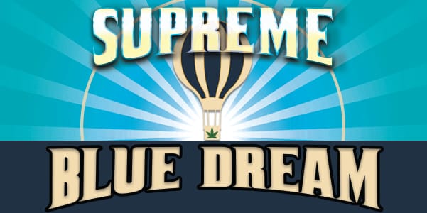 $8.51 Supreme Blue Dream 1G - Mecca -  - $5.92 - Pre-Rolls