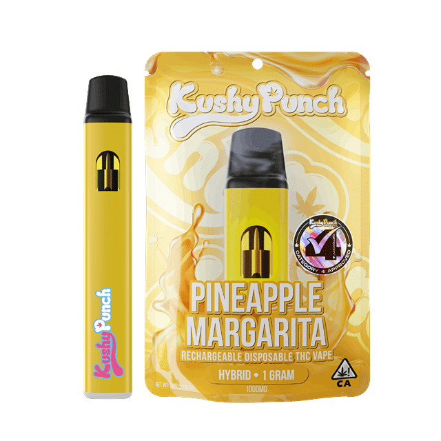 1g Pineapple Margarita AIO Vape