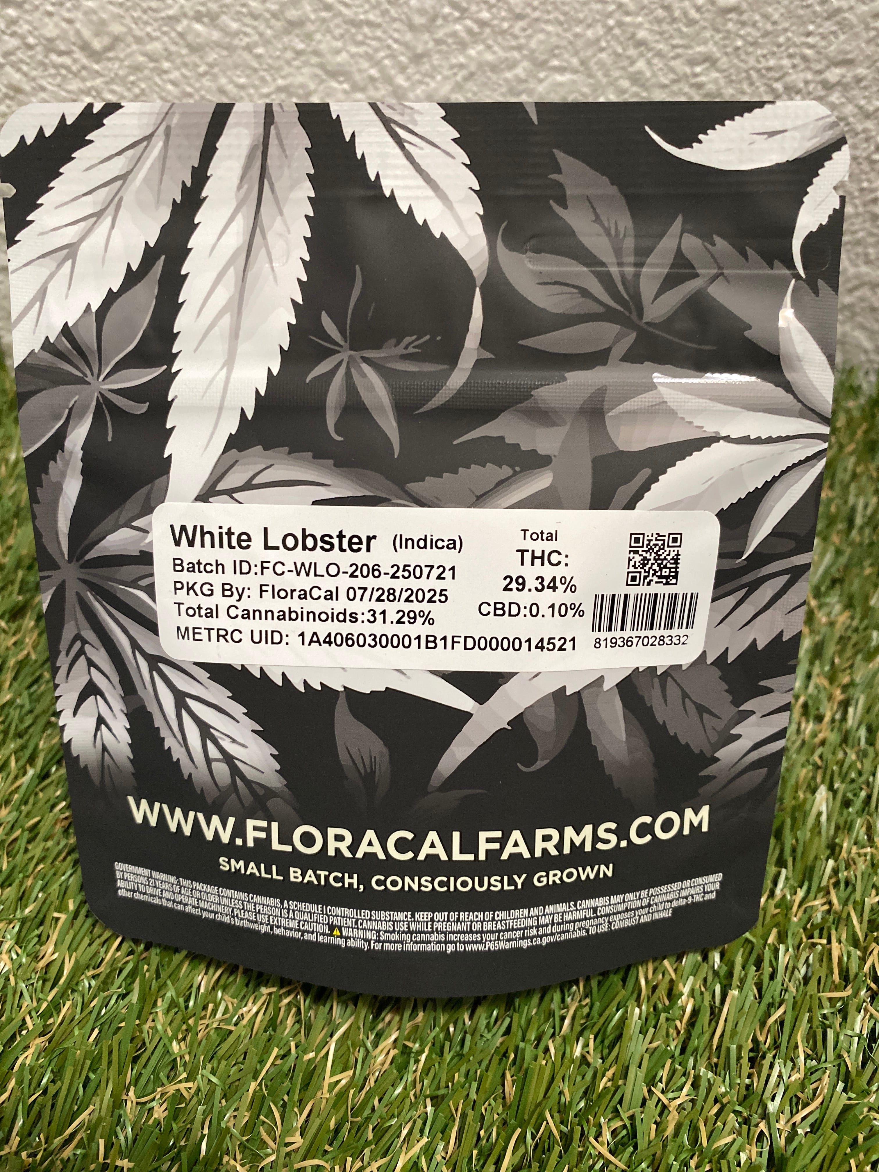 WHITE LOBSTER 3.5G - FloraCal -  - $23 - Flower