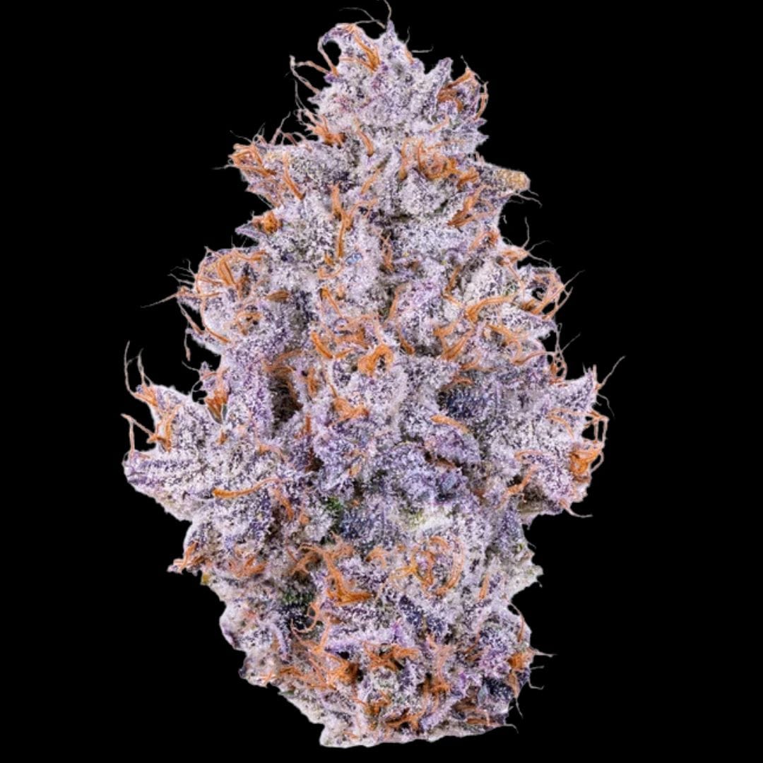 Alien Labs — Biskante