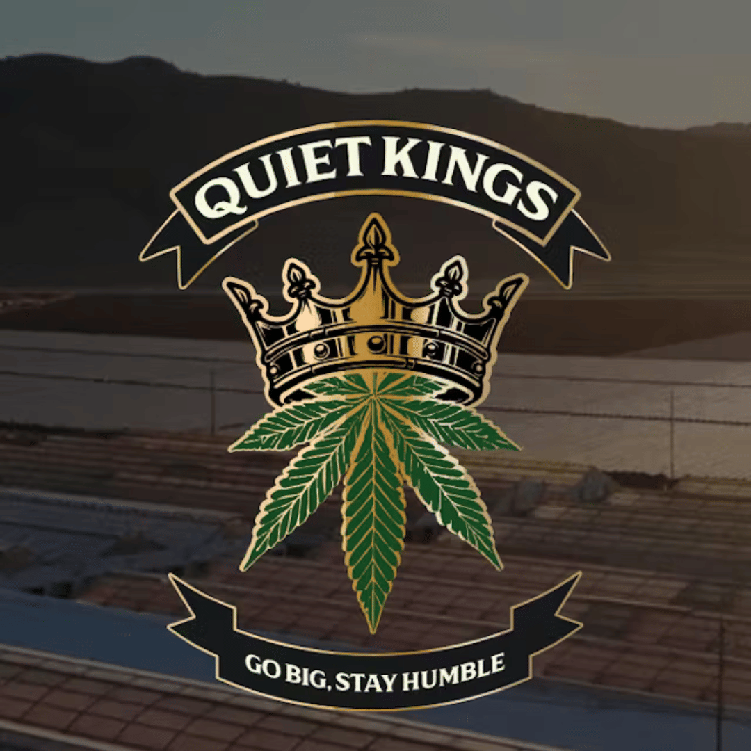 MODIFIED MINTZ 7G FLOWER - QUIET KINGS -  - $17 - Flowers