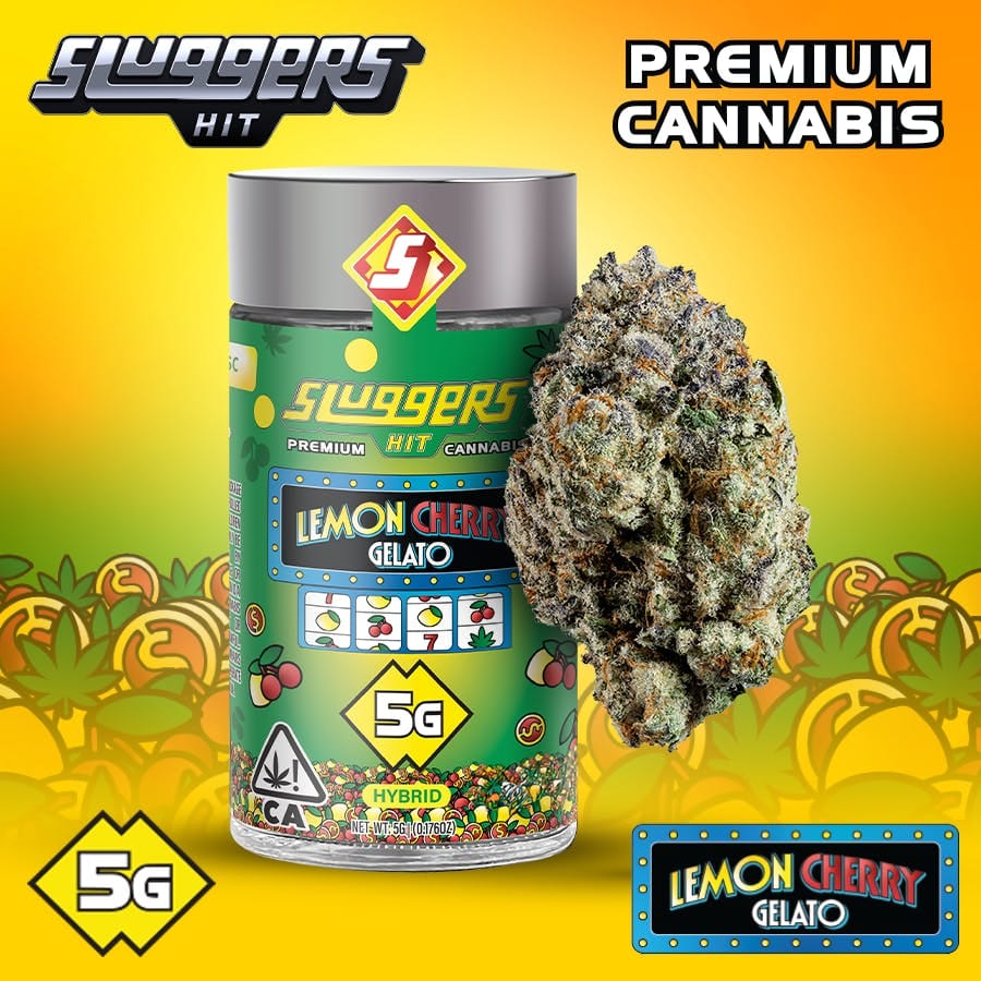 Sluggers Hit — Lemon Cherry Gelato