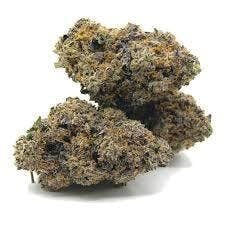 Zkittlez (Great Ape X Grapefruit) - 3.5g Flower Premium Light Assisted