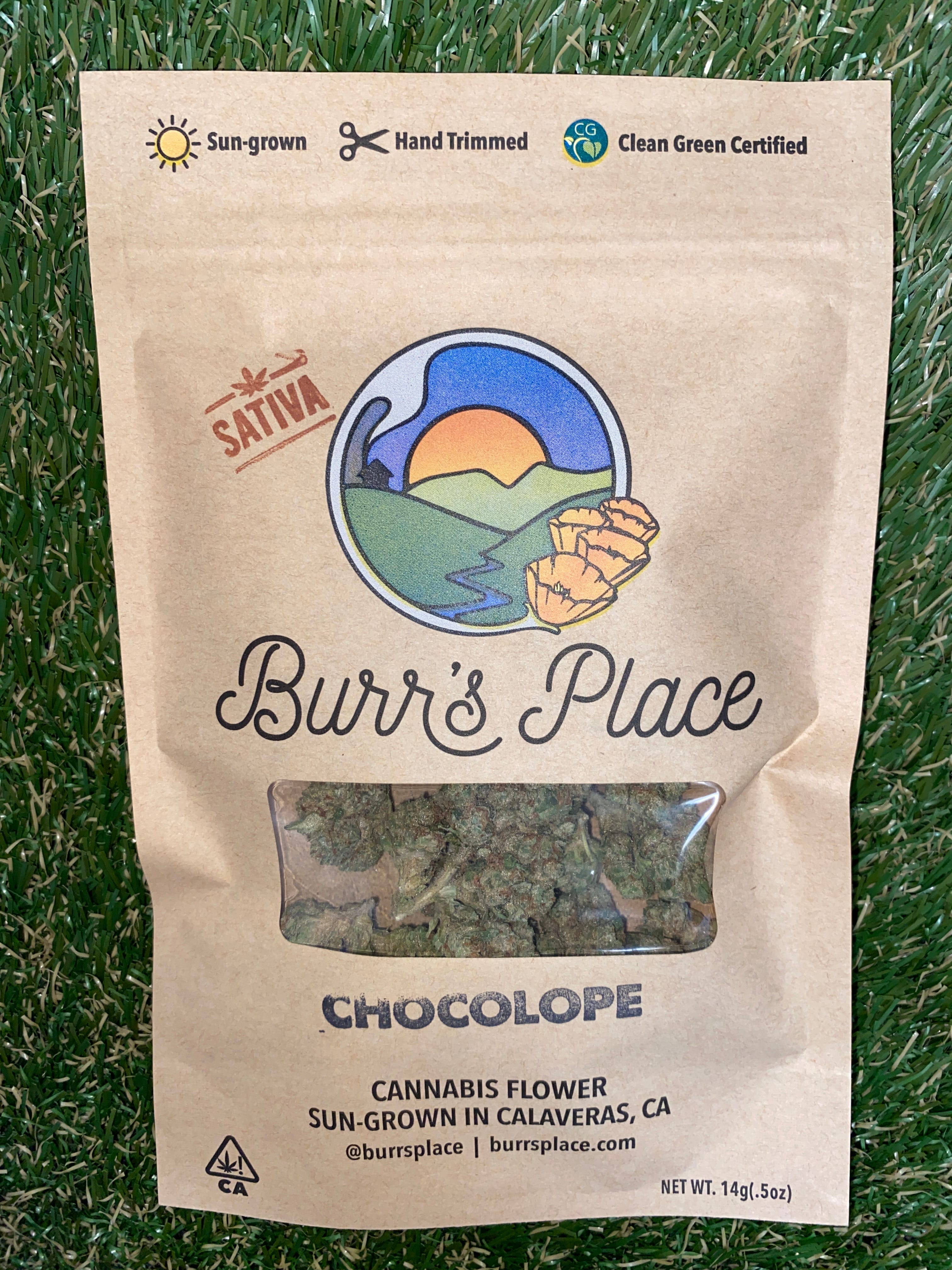 CHOCOLOPE 14G - BURR'S PLACE -  - $36 - Flower