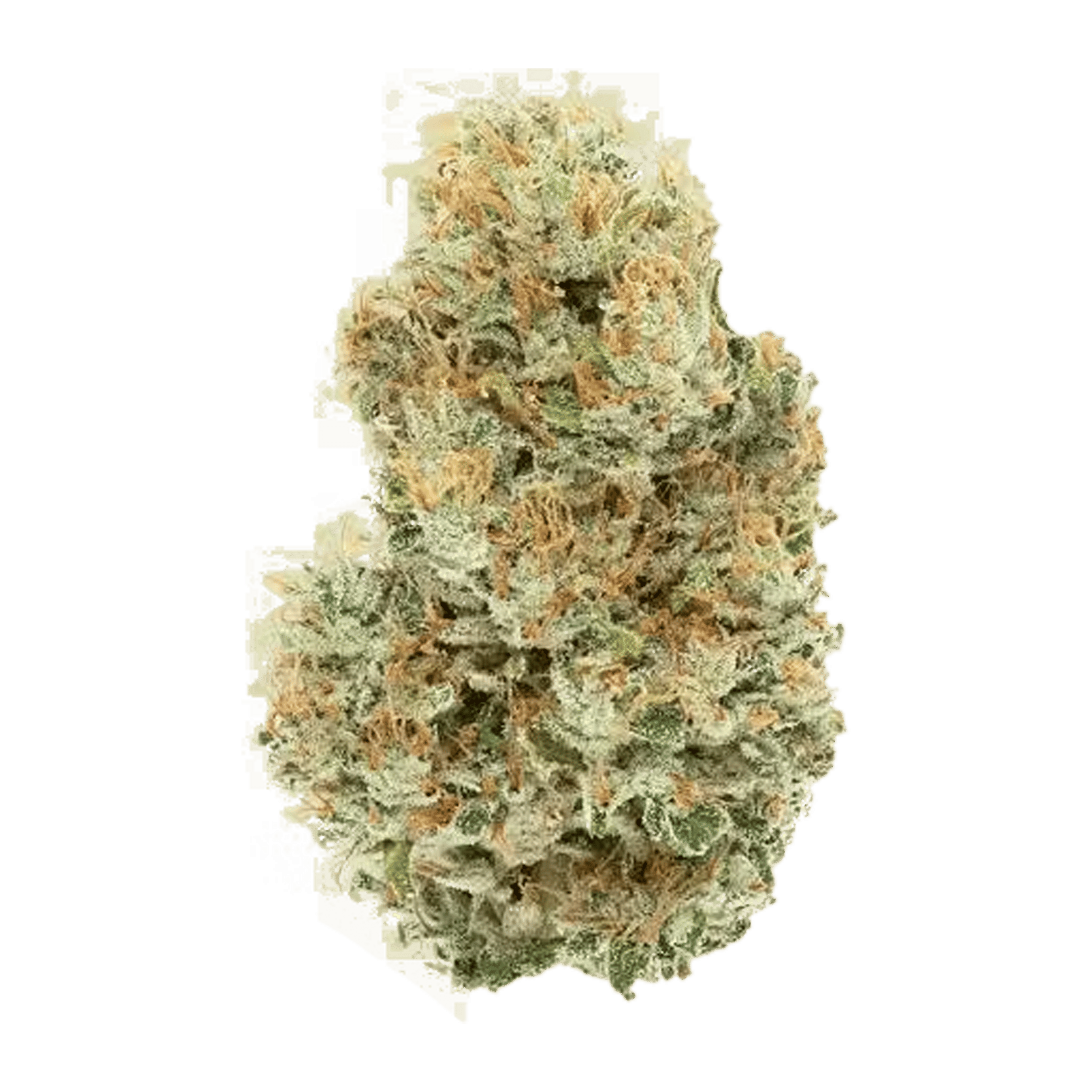 L'Orange - Flower - CBX Cannabiotix - Eighth - $54.99 - Flower