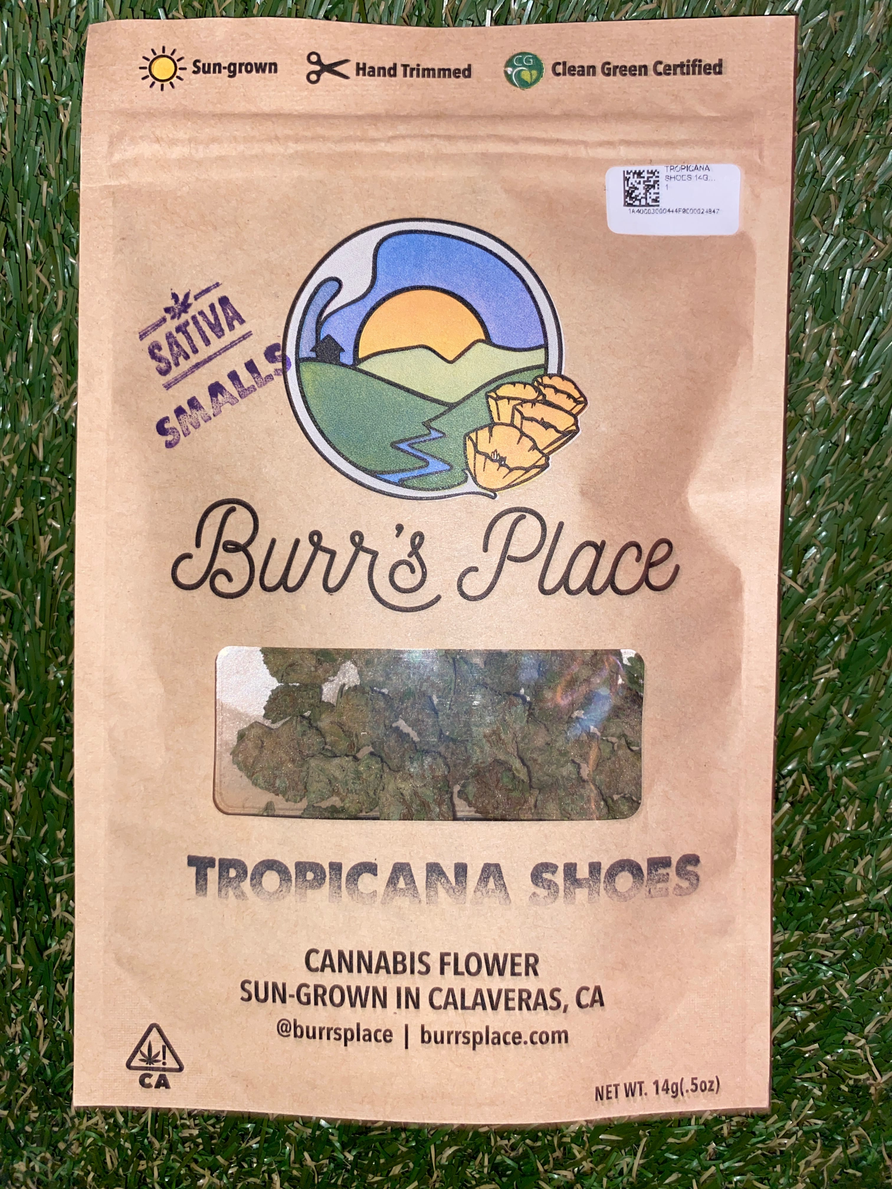 TROPICANA SHOES 14G SMALLS - BURR'S PLACE -  - $30.10 - Flower