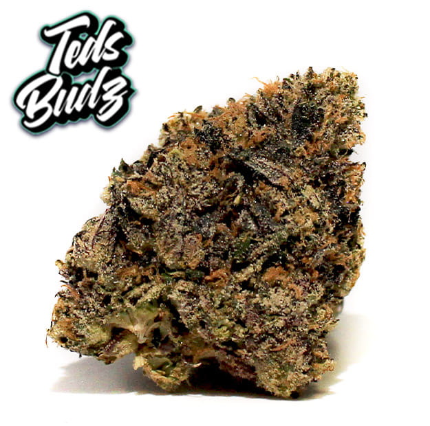 Teds Budz - Crawdads - 3.5g - Teds Budz -  - $59.99 - Exotic Genetics